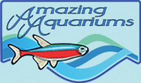 Amazing Aquariums